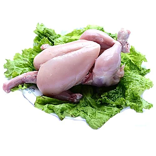 Frozen Chicken